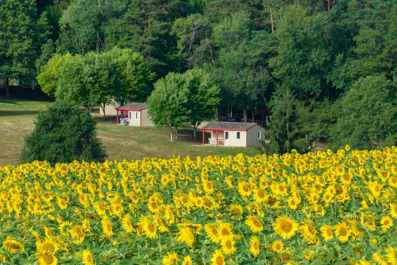 La Foret Enchantee Cornille  Kültér fotó